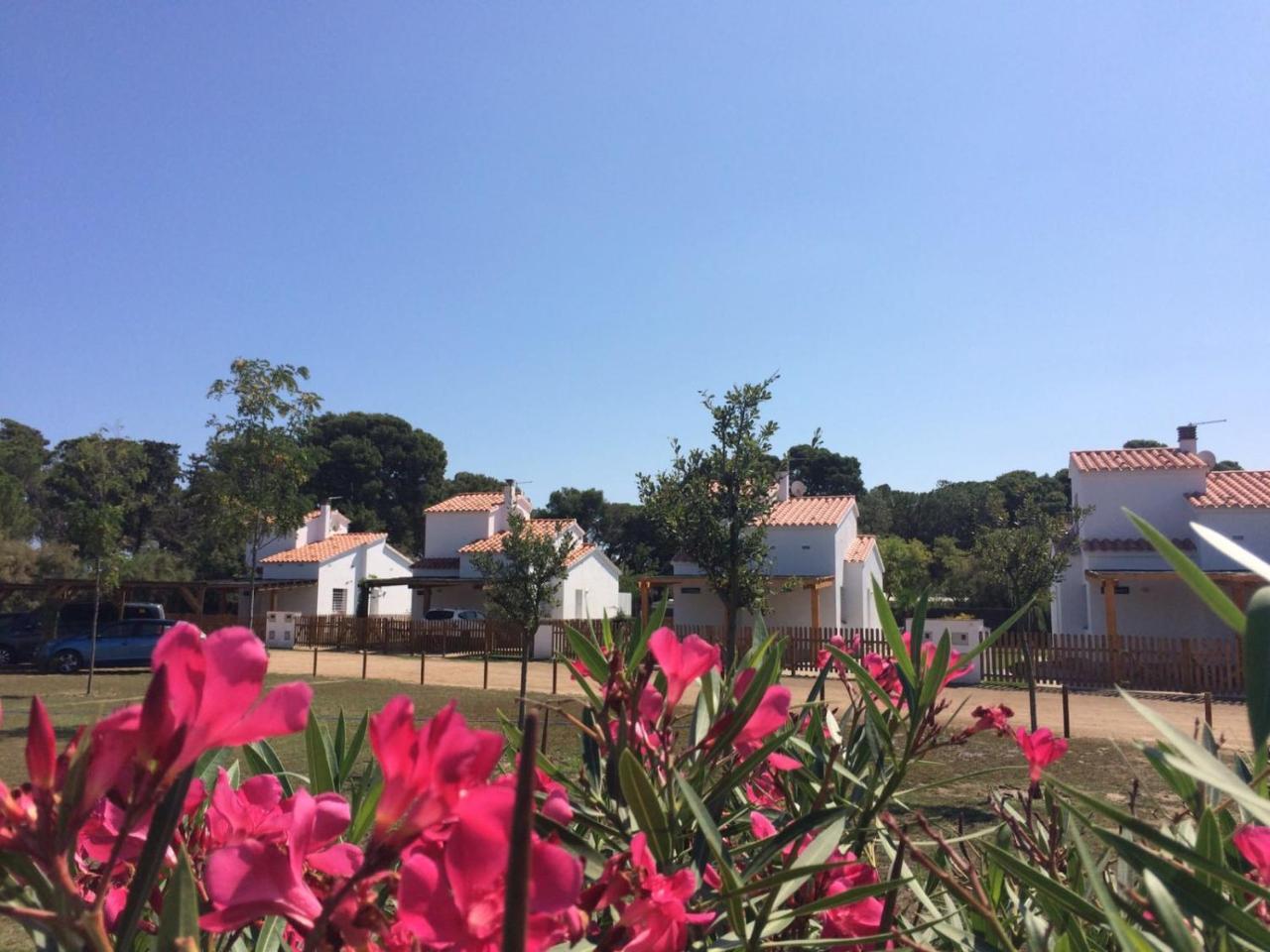 Villas Empuries, Garden & Private Pool Sant Marti d'Empuries Exterior foto